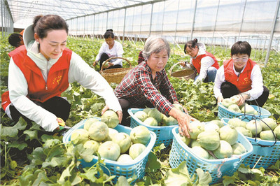 瓜果飘香 农民增收