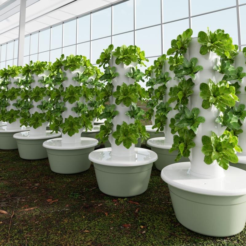 垂直水培塔智能蔬菜种植机无土栽培家庭农场承接工程跨境代发