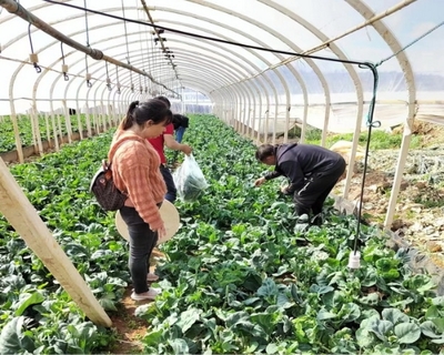 晋宁区推进承诺达标合格证制度，守护“舌尖上的安全”