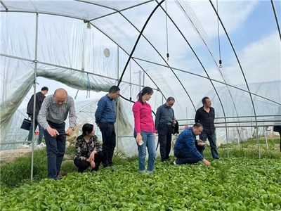 省园艺学会深入芜湖市三山区、南陵县调研蔬菜种植家庭农场发展现状