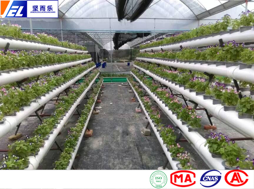 无土栽培家庭农场 PVC水培种植管引领阳台蔬菜新潮流